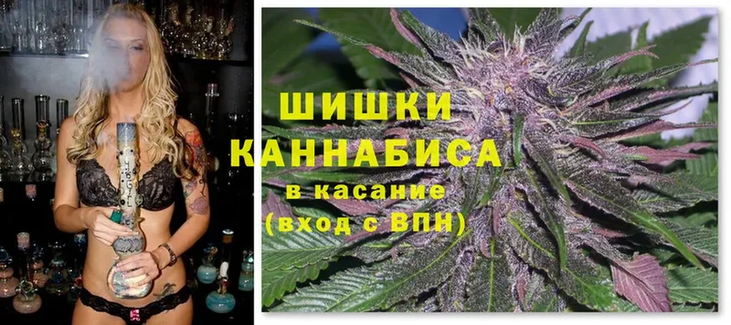 где найти   Курган  Конопля White Widow 